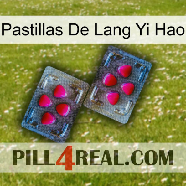 Lang Yi Hao Pills 15.jpg